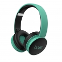 boAt Rockerz 370 Wireless Headphone with Bluetooth 5.0, Immersive Audio, Lightweight Ergonomic Design, Cosy Padded Earcups and Up to 8H Playback Bliss (Gregarious Green)